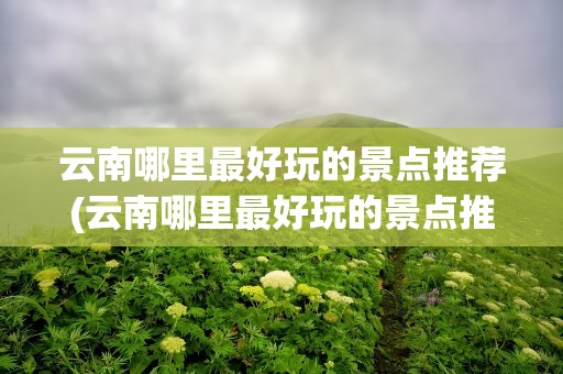 云南哪里最好玩的景点推荐(云南哪里最好玩的景点推荐三日游)