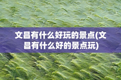 文昌有什么好玩的景点(文昌有什么好的景点玩)