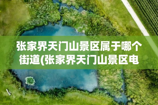 张家界天门山景区属于哪个街道(张家界天门山景区电话号码)