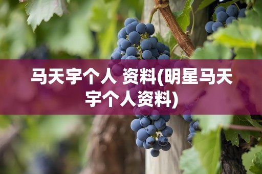 马天宇个人 资料(明星马天宇个人资料)
