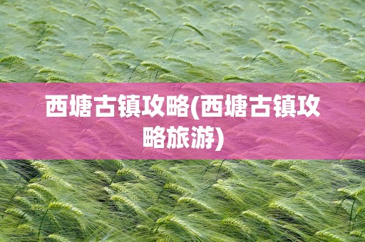 西塘古镇攻略(西塘古镇攻略旅游)