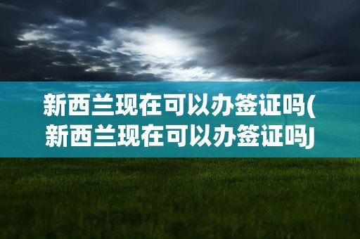 新西兰现在可以办签证吗(新西兰现在可以办签证吗J)