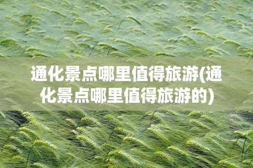 通化景点哪里值得旅游(通化景点哪里值得旅游的)