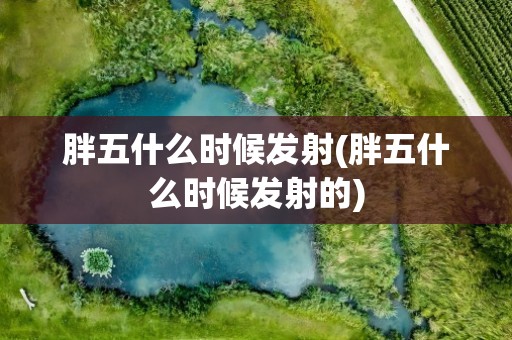 胖五什么时候发射(胖五什么时候发射的)