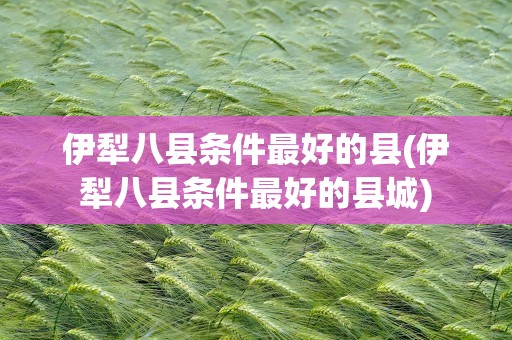 伊犁八县条件最好的县(伊犁八县条件最好的县城)