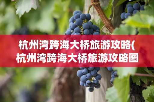 杭州湾跨海大桥旅游攻略(杭州湾跨海大桥旅游攻略图)