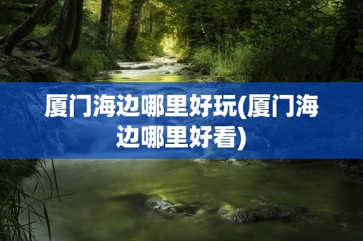 厦门海边哪里好玩(厦门海边哪里好看)