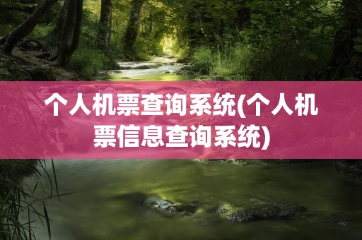 个人机票查询系统(个人机票信息查询系统)