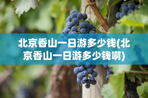 北京香山一日游多少钱(北京香山一日游多少钱啊)