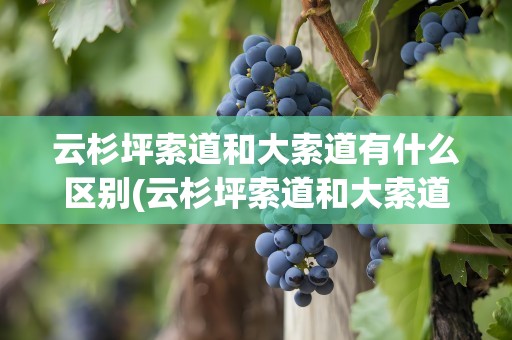 云杉坪索道和大索道有什么区别(云杉坪索道和大索道有什么区别呢)