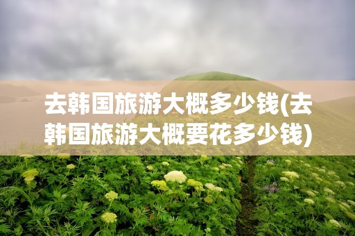 去韩国旅游大概多少钱(去韩国旅游大概要花多少钱)