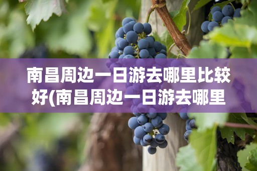 南昌周边一日游去哪里比较好(南昌周边一日游去哪里比较好玩)