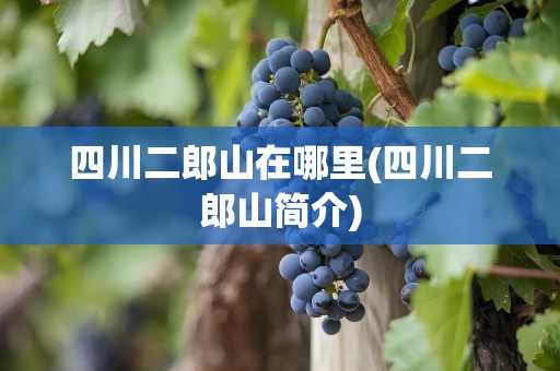 四川二郎山在哪里(四川二郎山简介)
