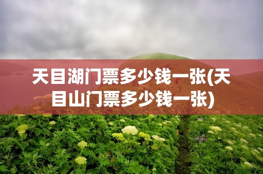 天目湖门票多少钱一张(天目山门票多少钱一张)