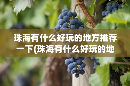 珠海有什么好玩的地方推荐一下(珠海有什么好玩的地方推荐一下吗)
