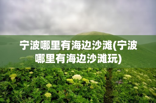 宁波哪里有海边沙滩(宁波哪里有海边沙滩玩)