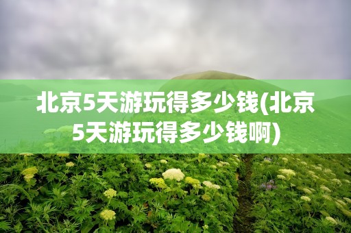 北京5天游玩得多少钱(北京5天游玩得多少钱啊)