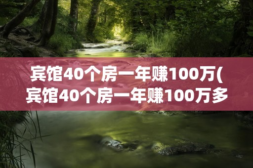 宾馆40个房一年赚100万(宾馆40个房一年赚100万多吗)