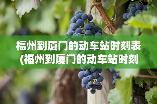 福州到厦门的动车站时刻表(福州到厦门的动车站时刻表查询)