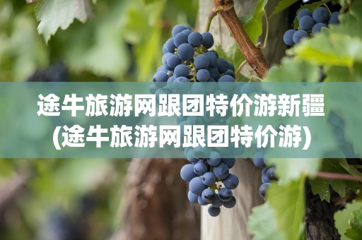 途牛旅游网跟团特价游新疆(途牛旅游网跟团特价游)
