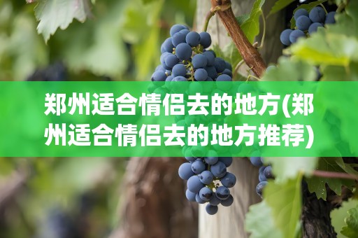 郑州适合情侣去的地方(郑州适合情侣去的地方推荐)