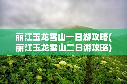 丽江玉龙雪山一日游攻略(丽江玉龙雪山二日游攻略)