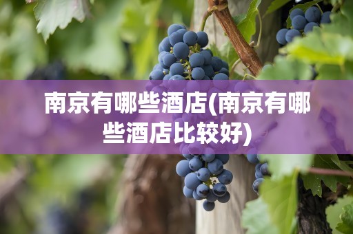 南京有哪些酒店(南京有哪些酒店比较好)