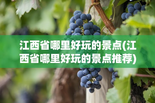 江西省哪里好玩的景点(江西省哪里好玩的景点推荐)