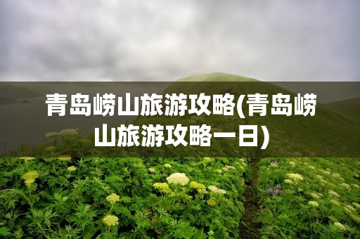 青岛崂山旅游攻略(青岛崂山旅游攻略一日)