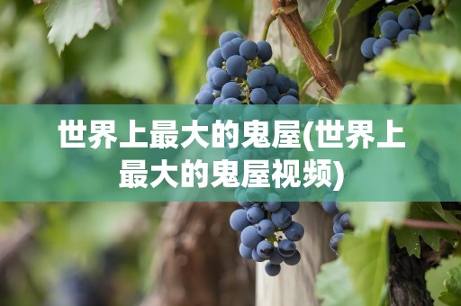 世界上最大的鬼屋(世界上最大的鬼屋视频)