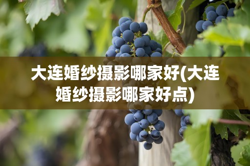 大连婚纱摄影哪家好(大连婚纱摄影哪家好点)