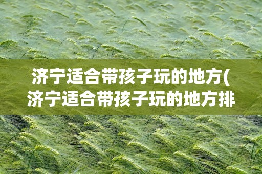 济宁适合带孩子玩的地方(济宁适合带孩子玩的地方排名)