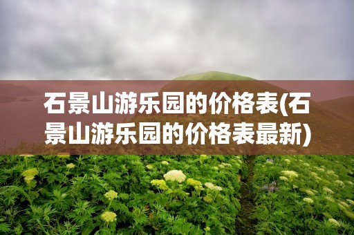 石景山游乐园的价格表(石景山游乐园的价格表最新)