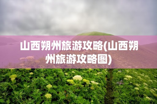 山西朔州旅游攻略(山西朔州旅游攻略图)