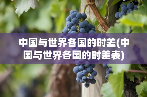 中国与世界各国的时差(中国与世界各国的时差表)