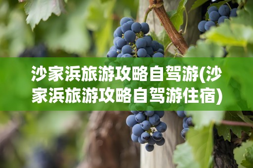 沙家浜旅游攻略自驾游(沙家浜旅游攻略自驾游住宿)