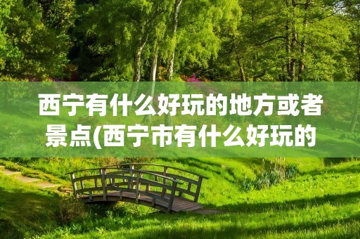 西宁有什么好玩的地方或者景点(西宁市有什么好玩的地方或者景点)