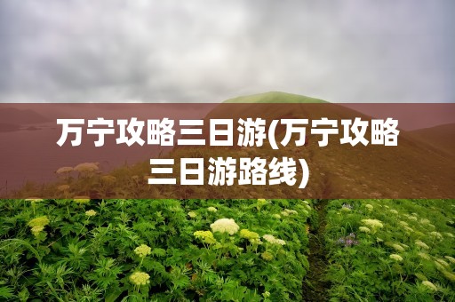 万宁攻略三日游(万宁攻略三日游路线)