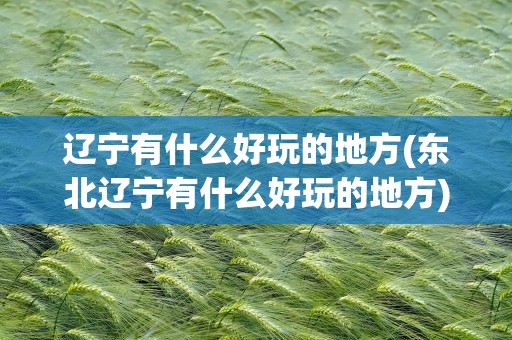 辽宁有什么好玩的地方(东北辽宁有什么好玩的地方)