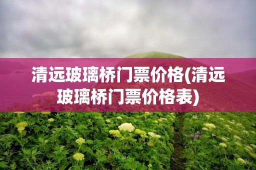 清远玻璃桥门票价格(清远玻璃桥门票价格表)