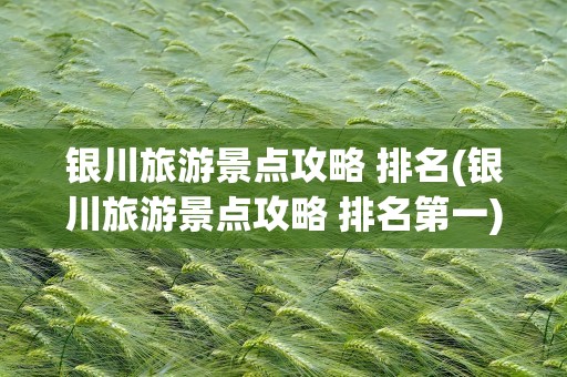 银川旅游景点攻略 排名(银川旅游景点攻略 排名第一)