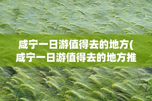 咸宁一日游值得去的地方(咸宁一日游值得去的地方推荐)