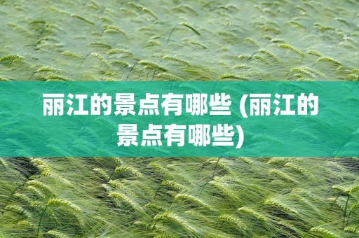 丽江的景点有哪些 (丽江的景点有哪些)