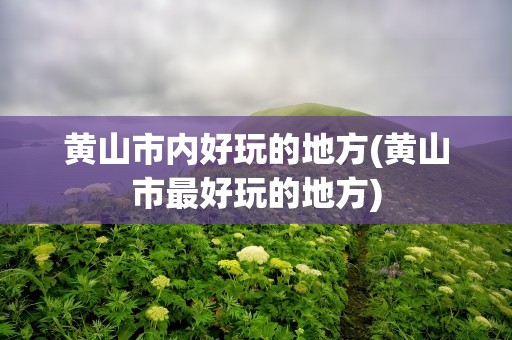 黄山市内好玩的地方(黄山市最好玩的地方)