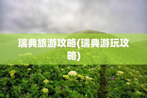 瑞典旅游攻略(瑞典游玩攻略)