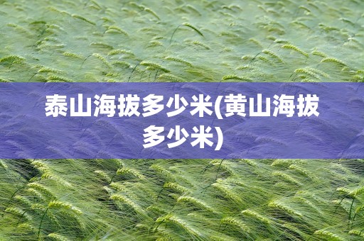 泰山海拔多少米(黄山海拔多少米)