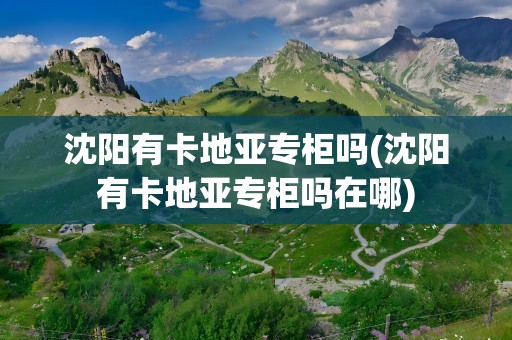 沈阳有卡地亚专柜吗(沈阳有卡地亚专柜吗在哪)