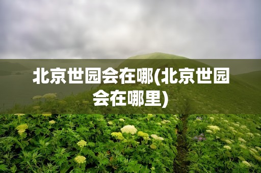 北京世园会在哪(北京世园会在哪里)