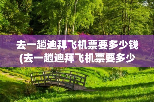 去一趟迪拜飞机票要多少钱(去一趟迪拜飞机票要多少钱呢)