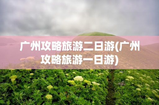 广州攻略旅游二日游(广州攻略旅游一日游)